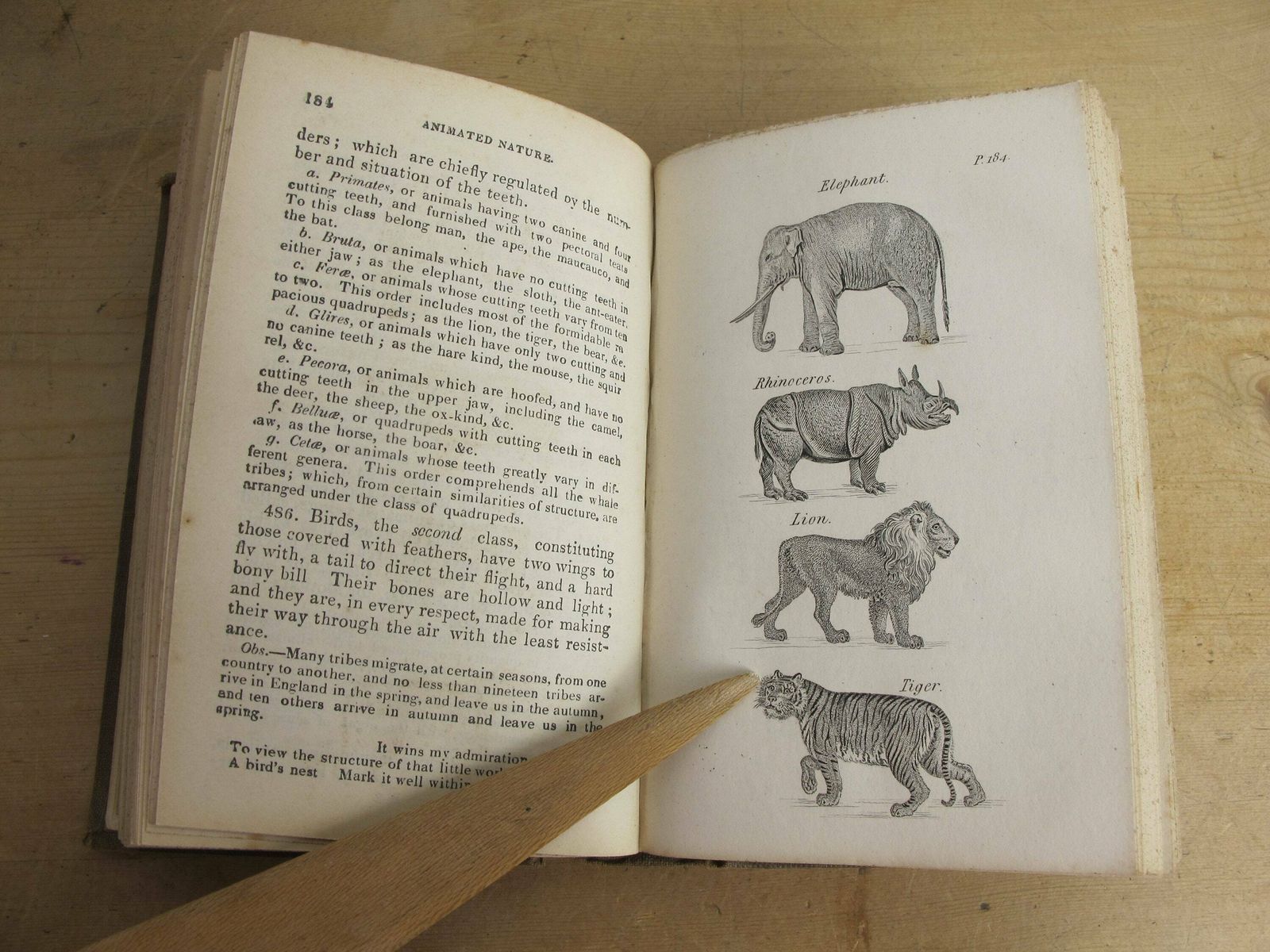 Blair's Preceptor Or General Grammar Of Arts, Sciences, And Useful Knowledge. Antique Education Book From 1830s, With Lots Of Engravings photo vintage