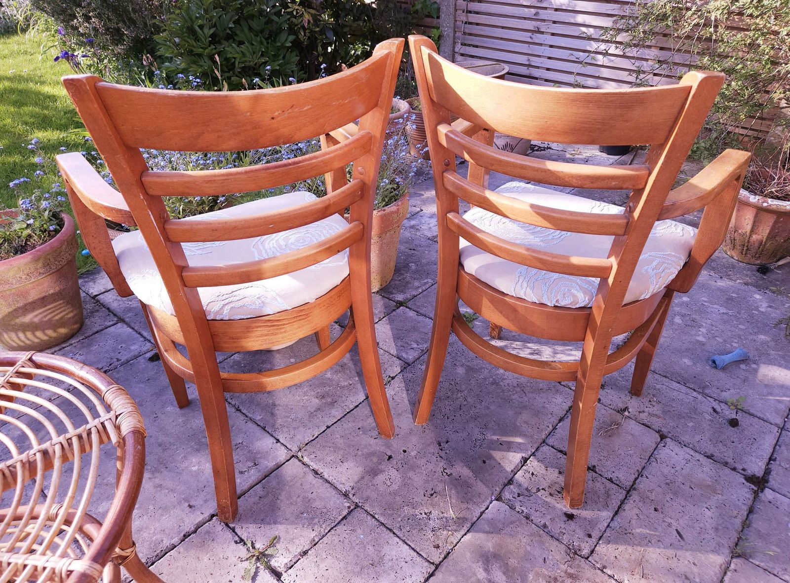 Superb Pair Of Bentwood Mid Century Carver Style Chairs With Original Fmg Label photo Furniture