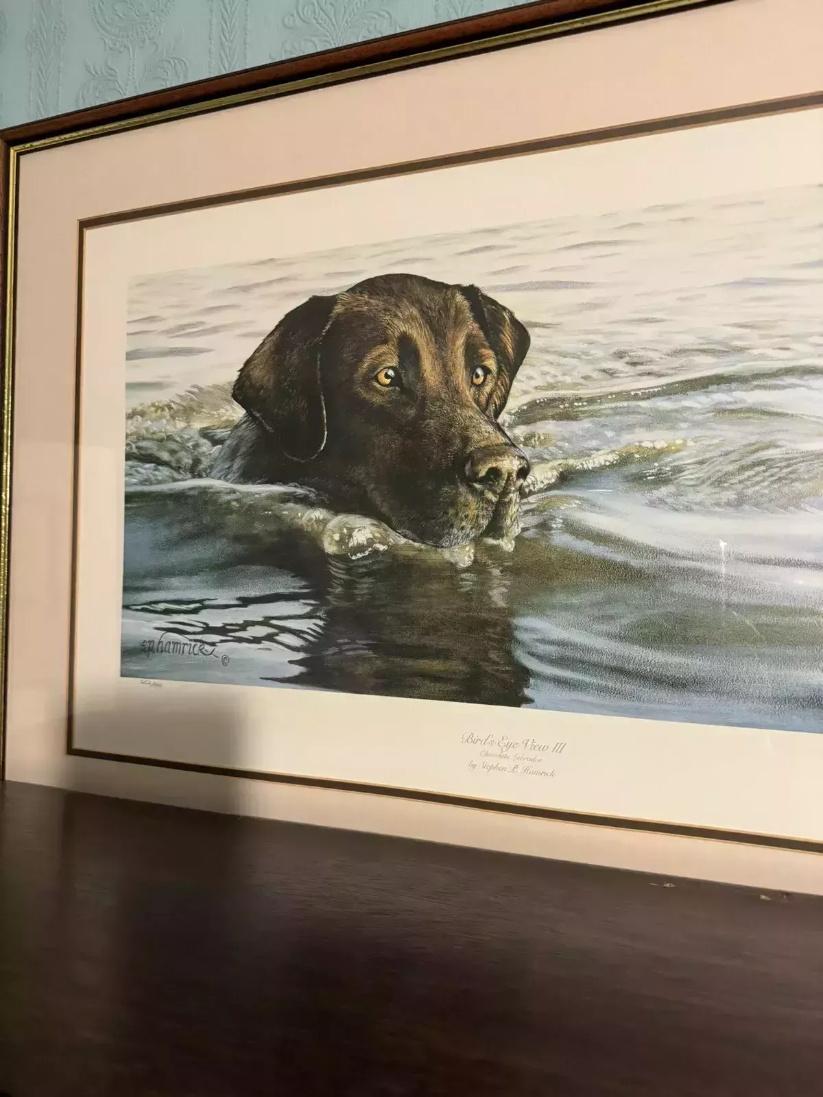 Birds Eye View Chocolate Labrador Stephen Hamrick Signed By Artist