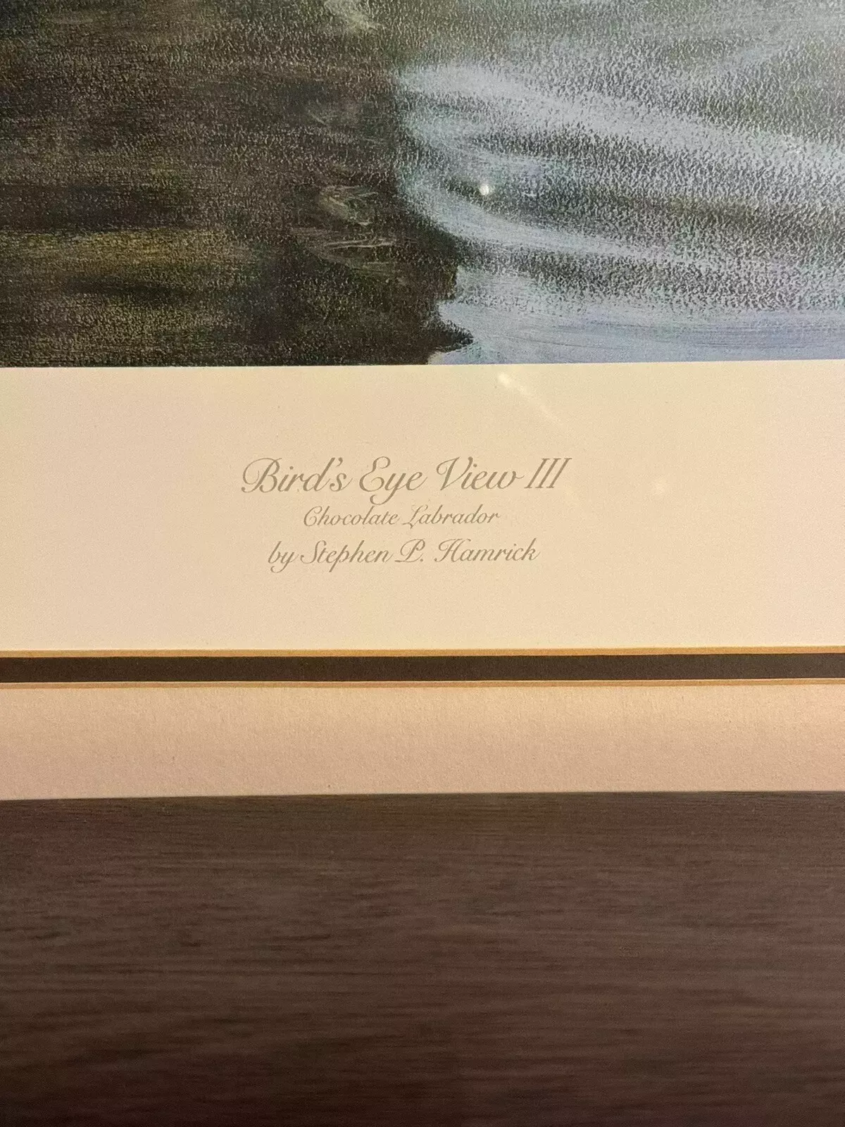 Birds Eye View Chocolate Labrador Stephen Hamrick Signed By Artist photo 125.0