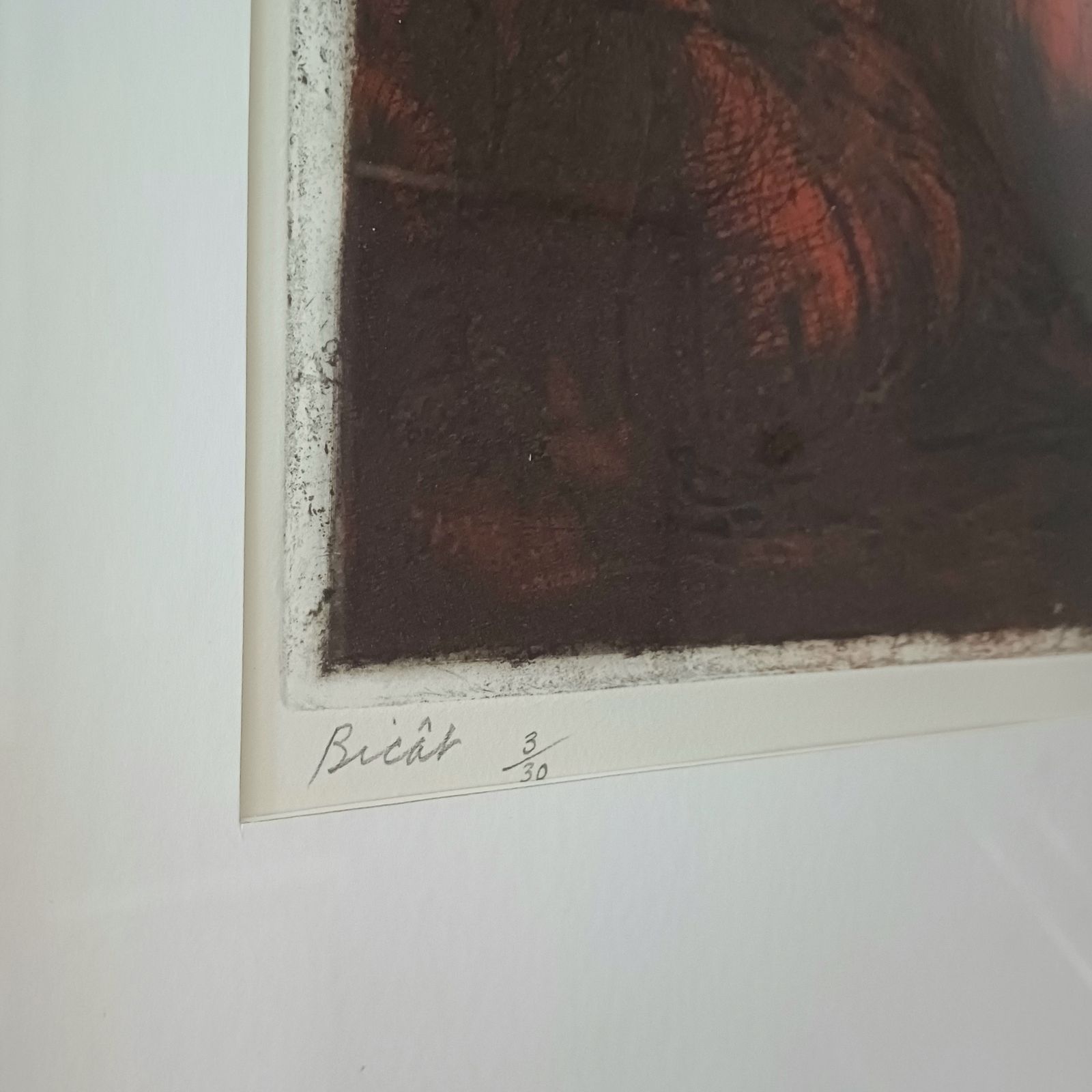 Still Life With Mushrooms By André Bicât, Mid Century photo buy