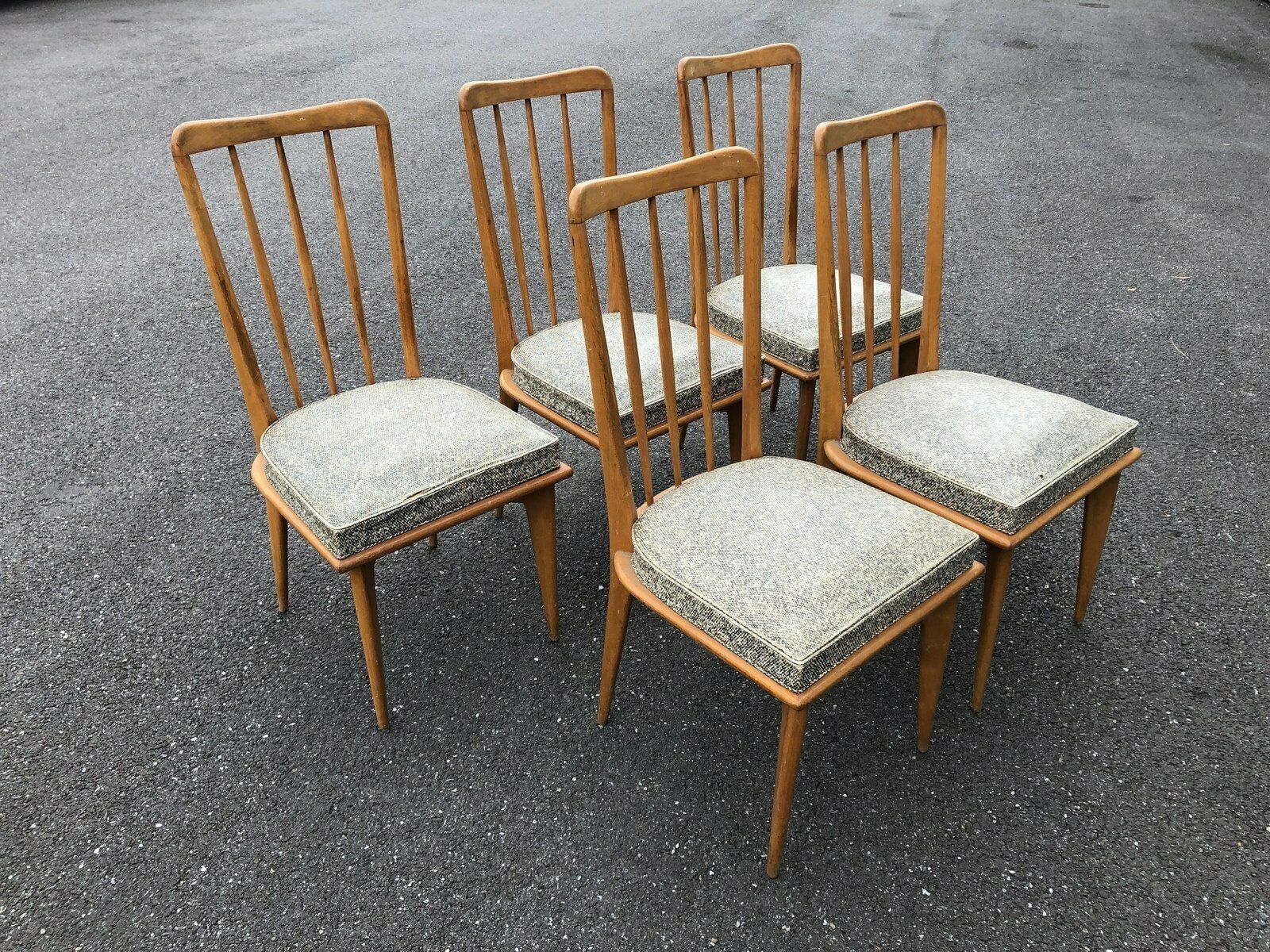 Chairs, 1950s, Set Of 5, Vintage photo Furniture