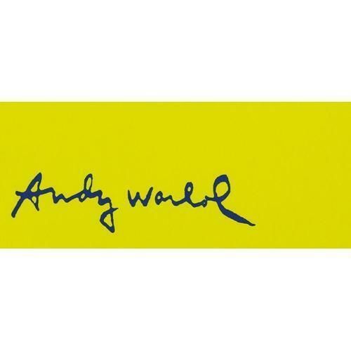 1986 Carnegie Museum Of Art After Andy Warhol Mickey Mouse Lithograph With Yellow Background photo furniture