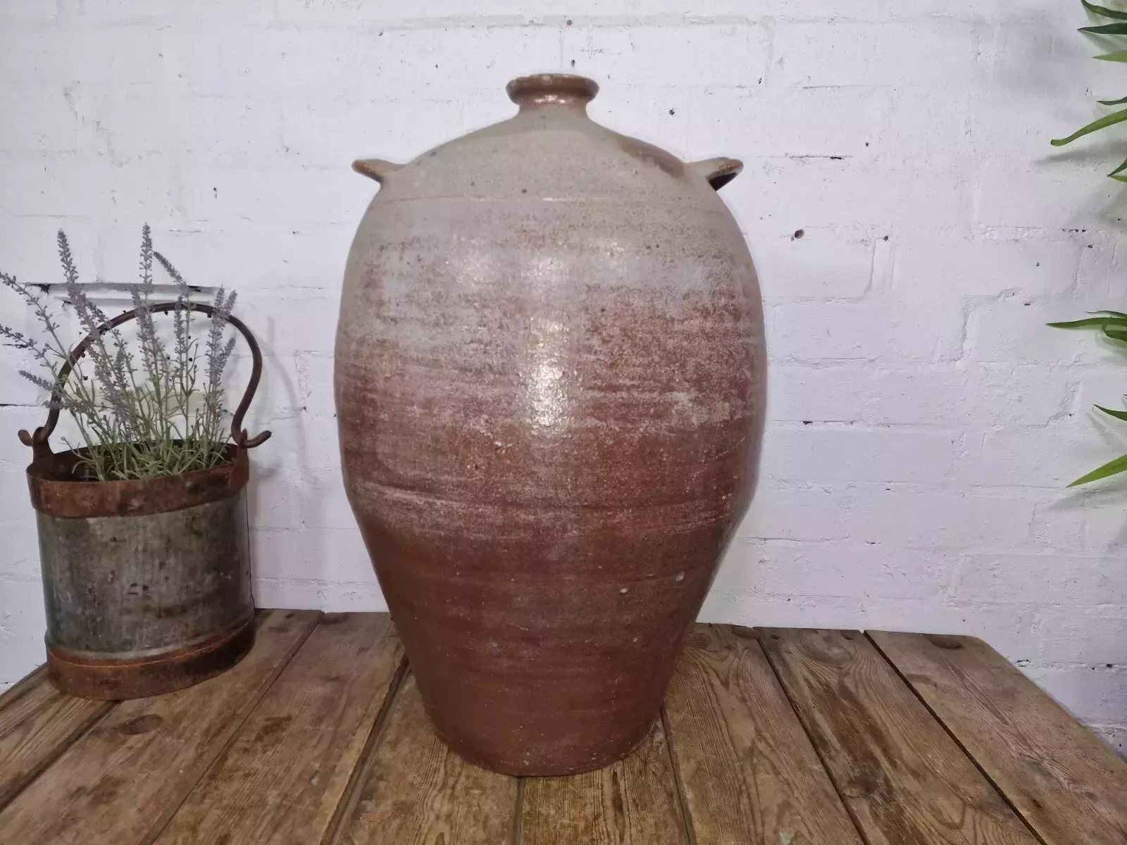 Very Large French Stoneware Terracotta Walnut Oil Pitcher Confit Pot