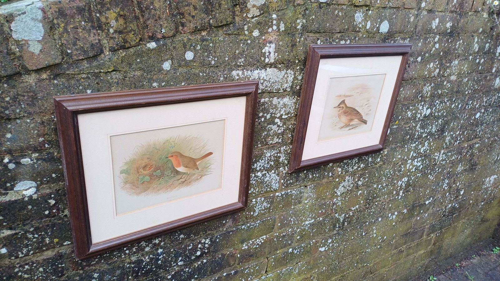 Two Victorian Chromo Lithograph Prints Of Birds, Robin Redbreast And Crested Lark C1870 By H Gronveld, Grunveld, Framed In 1982 photo furniture