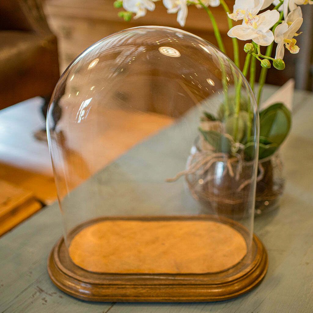 Large Antique Carriage Clock Dome, English, Glass, Display, Showcase, Victorian photo vintage