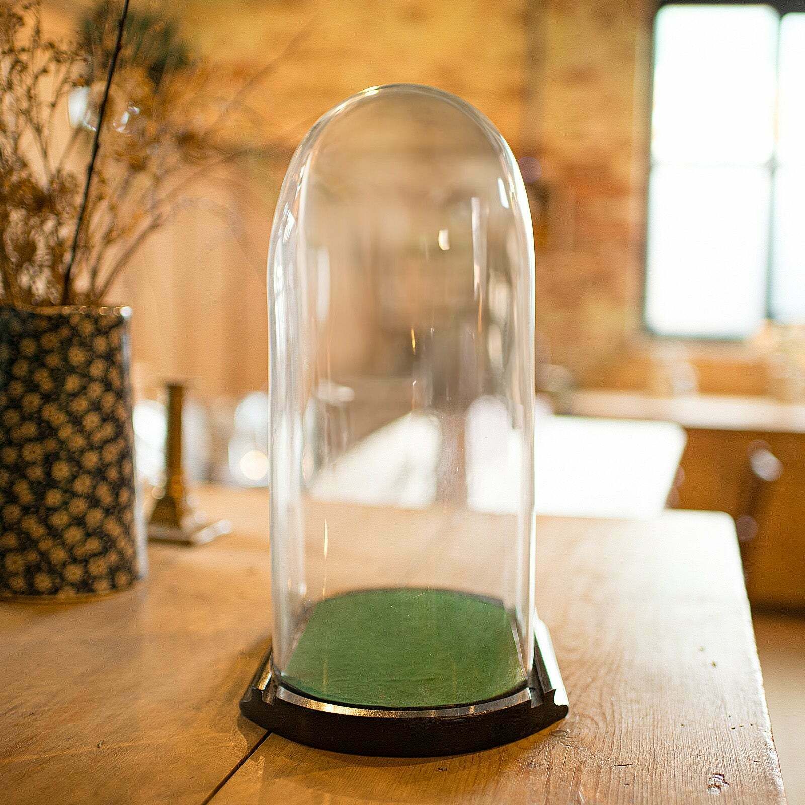 Antique Ovoid Display Dome English Glass Taxidermy Clock Showcase Victorian photo 695.0