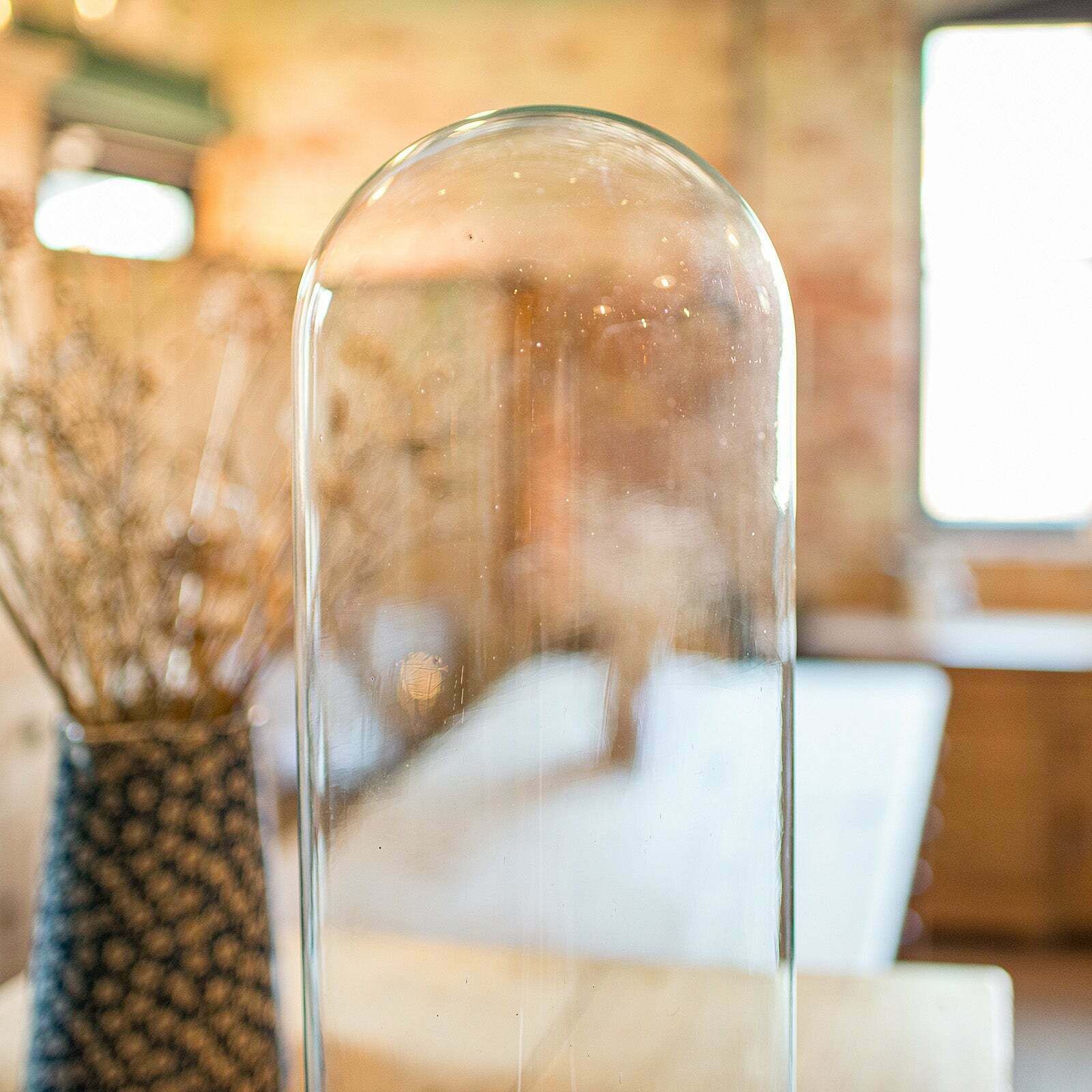 Tall Antique Taxidermy Dome English Glass photo 695.0
