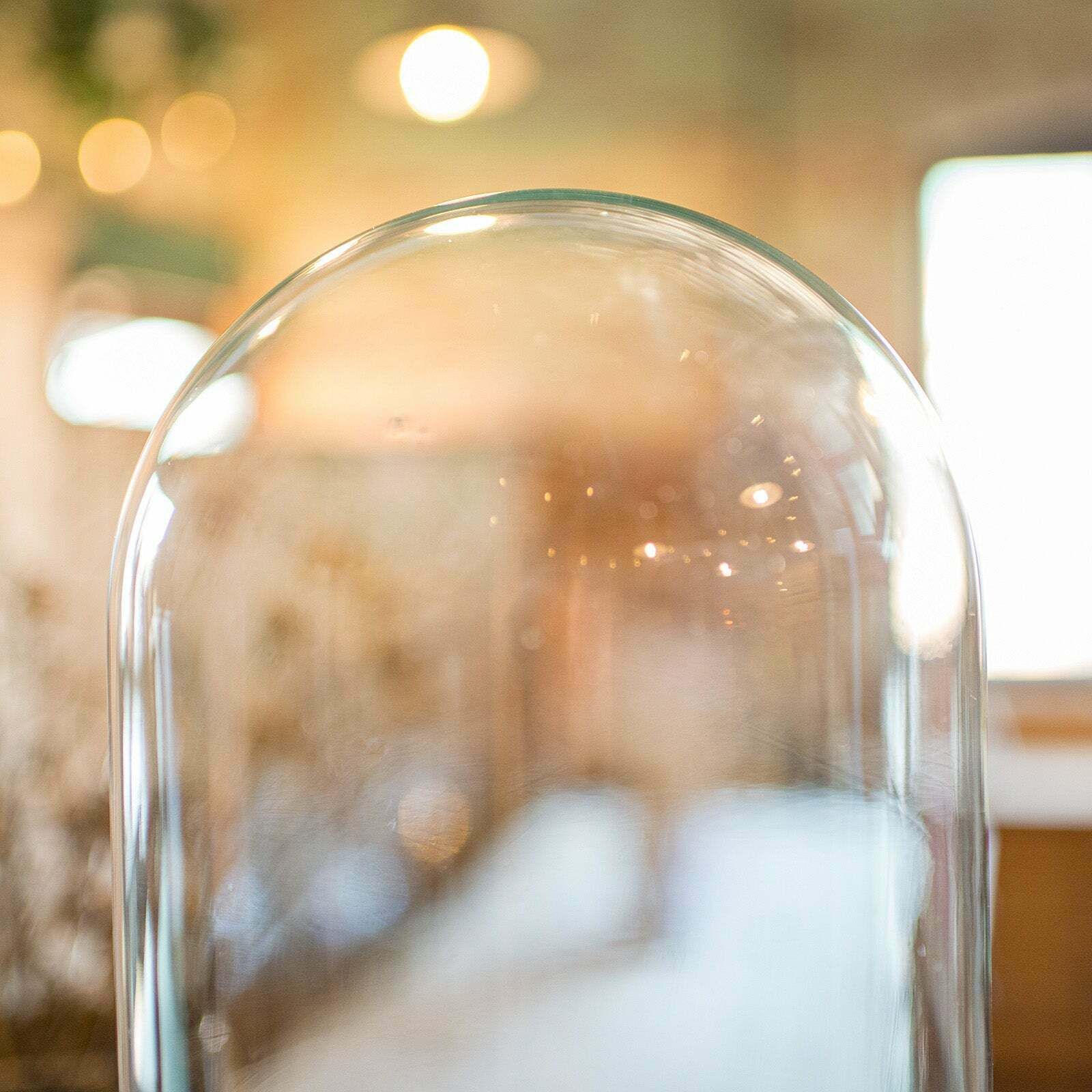 Tall Antique Taxidermy Dome English Glass photo vinterior