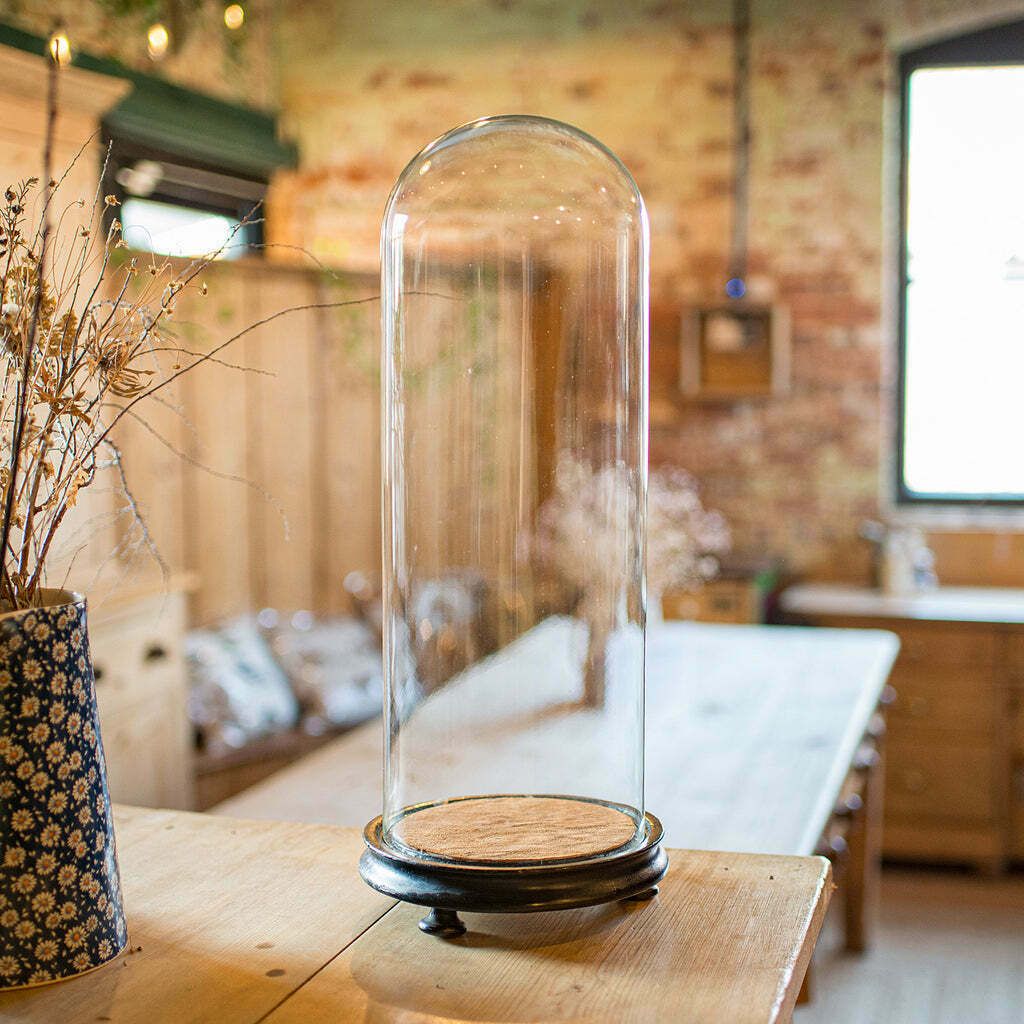 Tall Antique Display Showcase, English, Glass, Taxidermy, Dome, Victorian, 1850 photo for sale