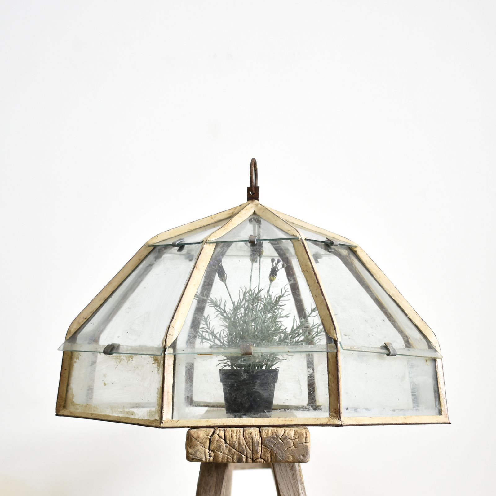 Antique Lantern Garden Cloche – C