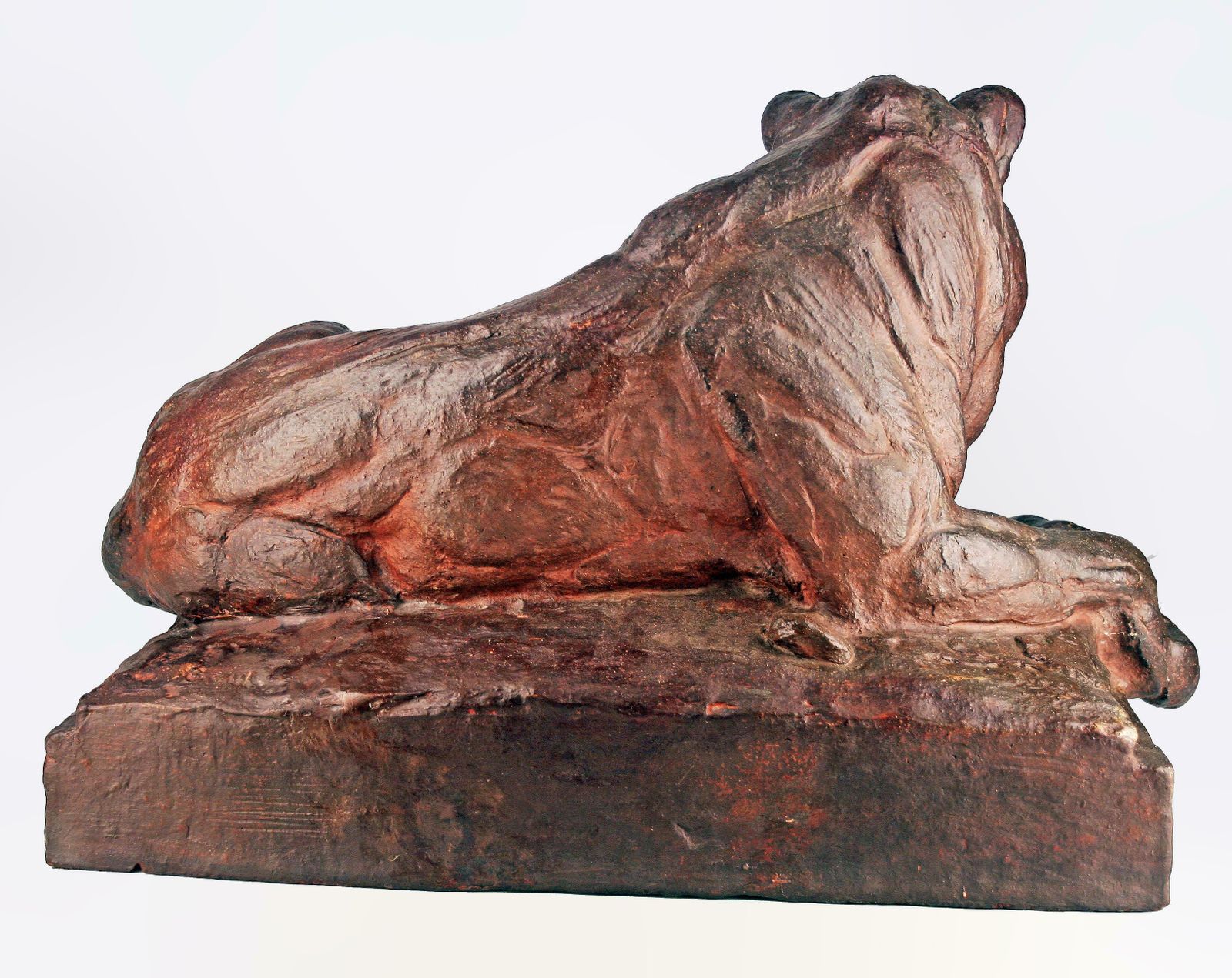 Late 19th Century German Terracotta Sculpture Of A Resting Lion By Animalier Author August Gaul photo 5375.0