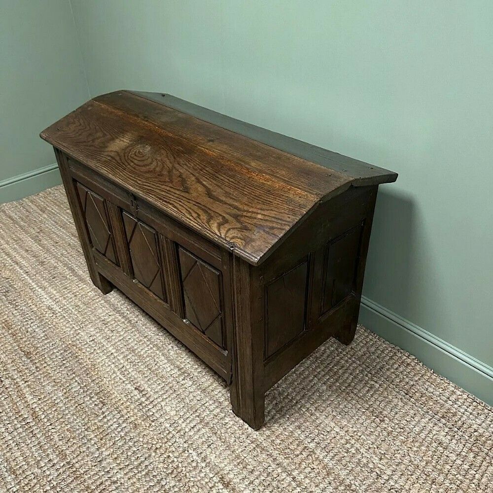 Unusual 18th Century Dome Top Country Oak Antique Coffer photo 795.0