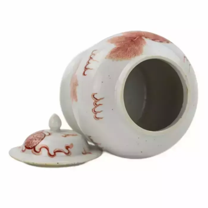 Chinese Porcelain Vase, Painted “Iron Red” Overglaze Dog Fo. Possibly Kangxi Period. photo for sale