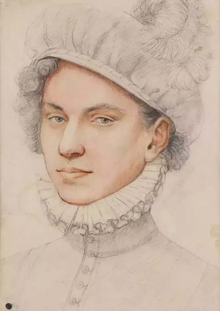 Graphic Portrait Of A Young Man In A Beret. In The Spirit Of Jean Clouet photo 1597.0