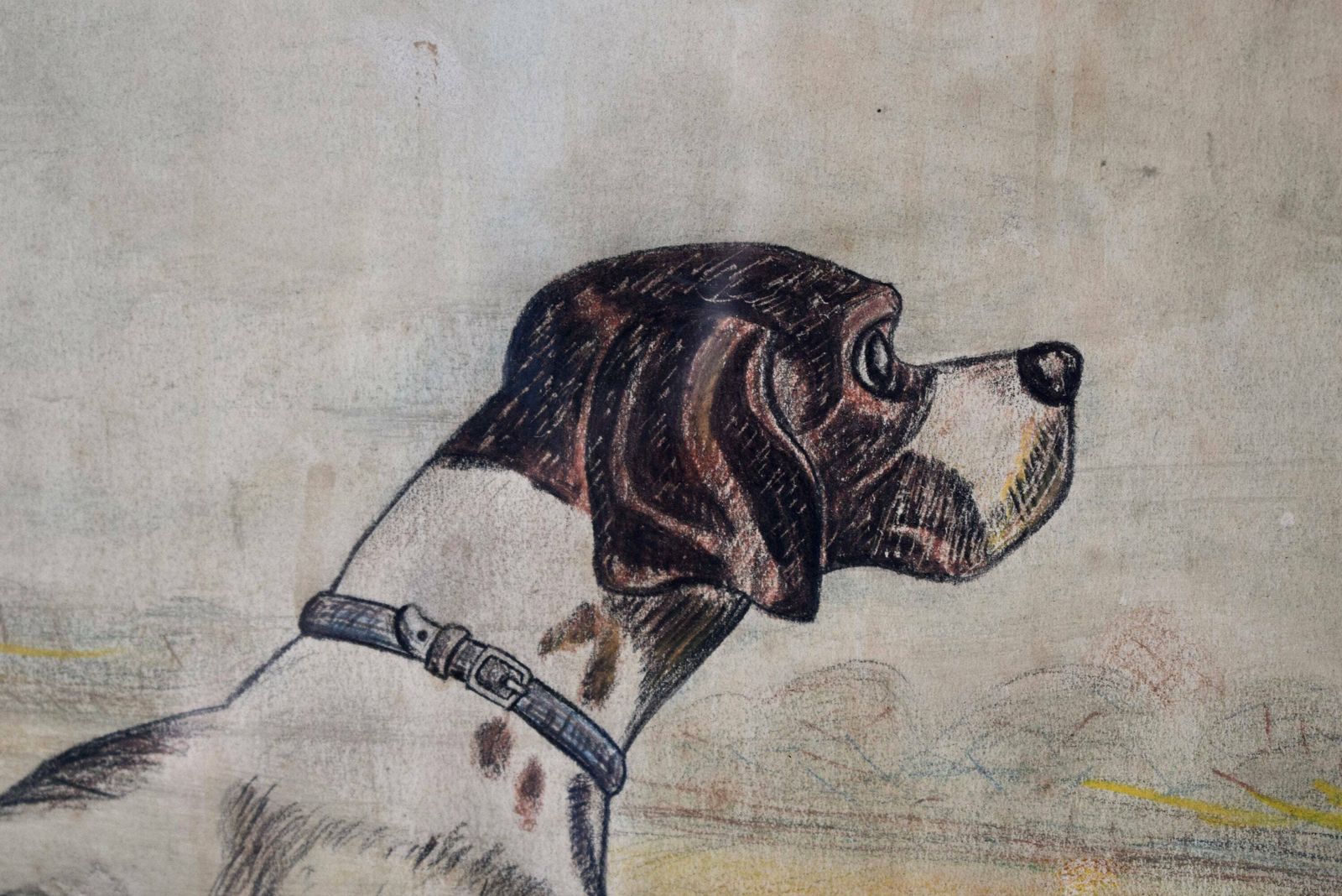 French Vintage Hunting Dog Portrait Pastel Signed De Galoisy, Hunt Dog Wall Picture photo for sale