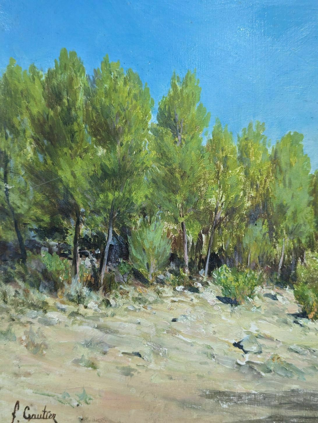 Landscape By François Gautier (1842 1917) photo Art