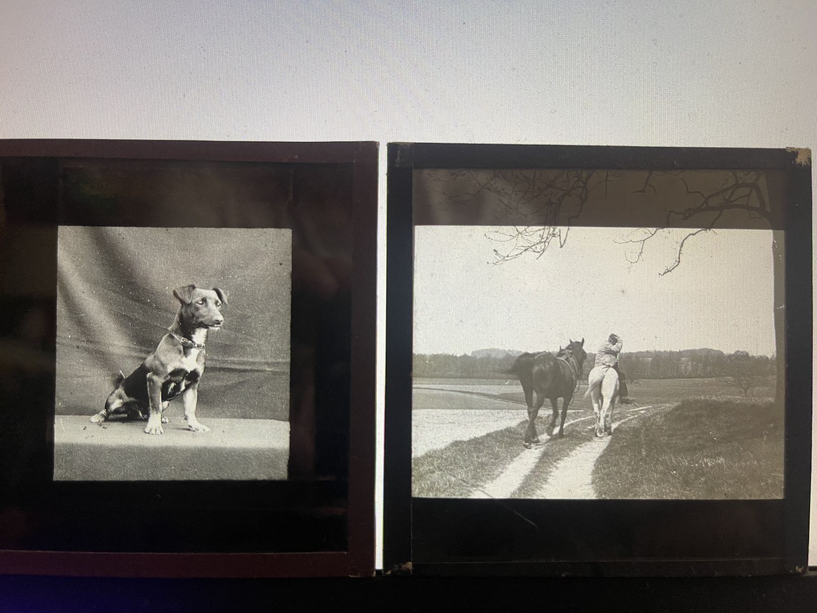 Early 20th Century Selection Of Victorian Life 111 Lantern Slides photo vinterior