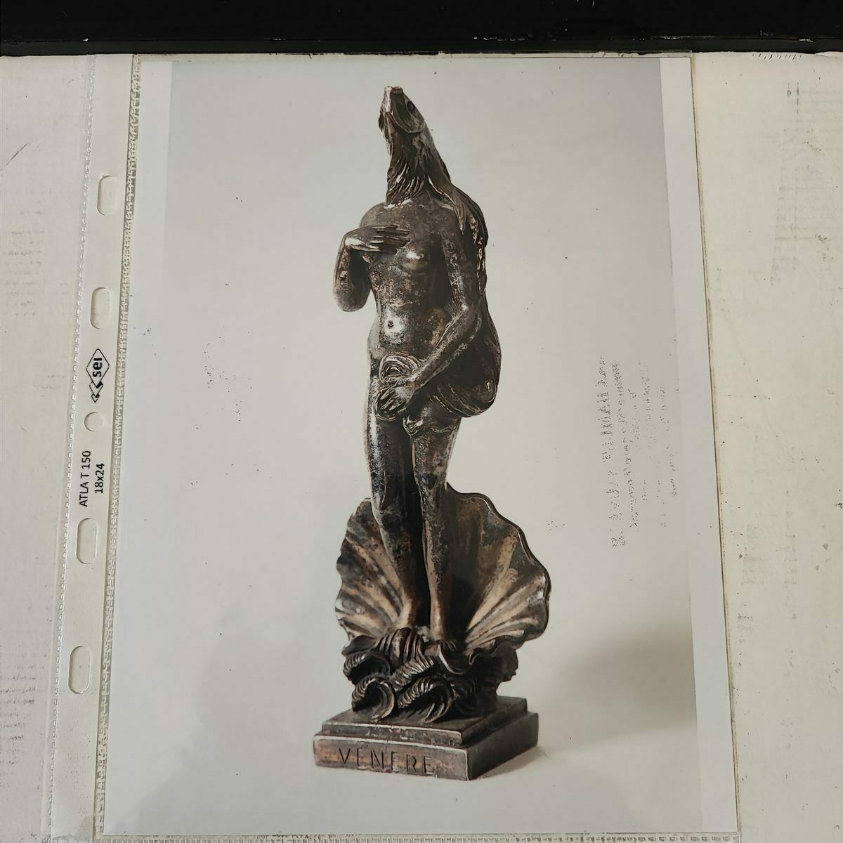 photo vintage Silver Plated Bronze Sculpture Max Hamlet, Venus By Botticelli Year 1992