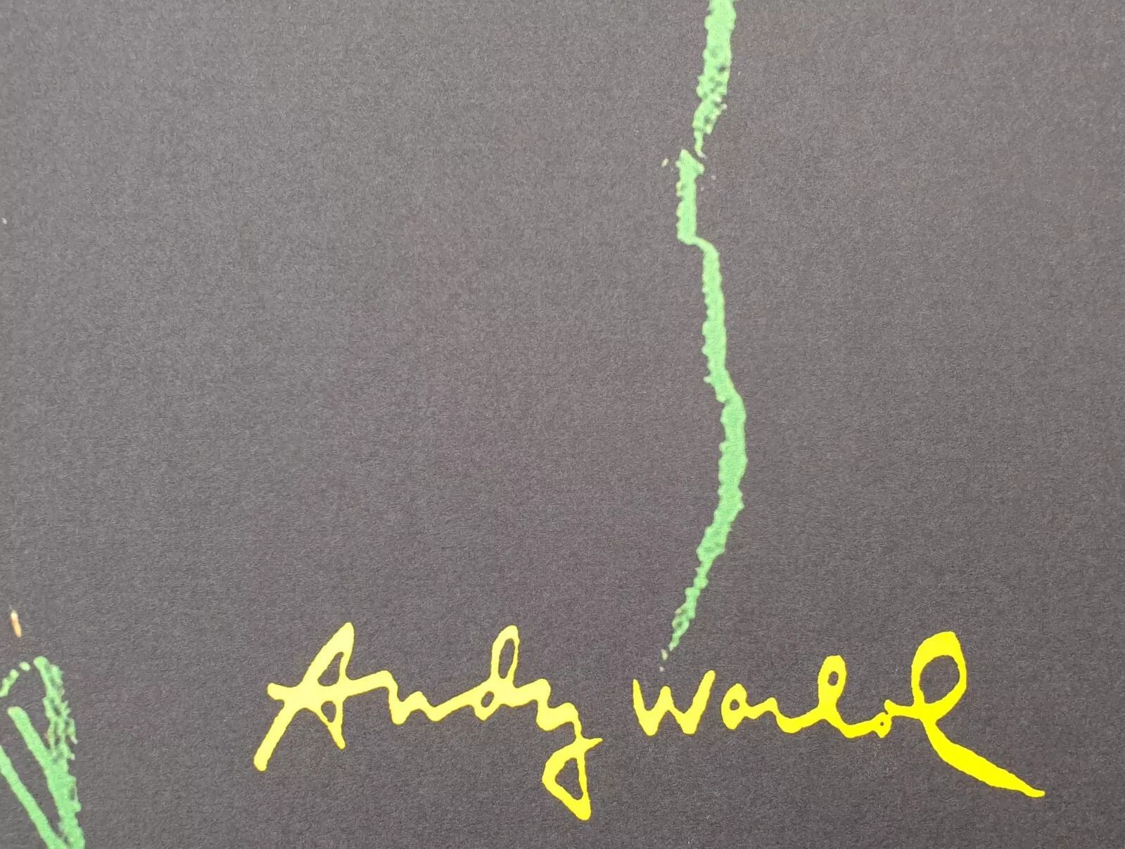 After Andy Warhol (1928–1987) Orangutan, 1986 – Carnegie Museum Of Art Edition photo for sale