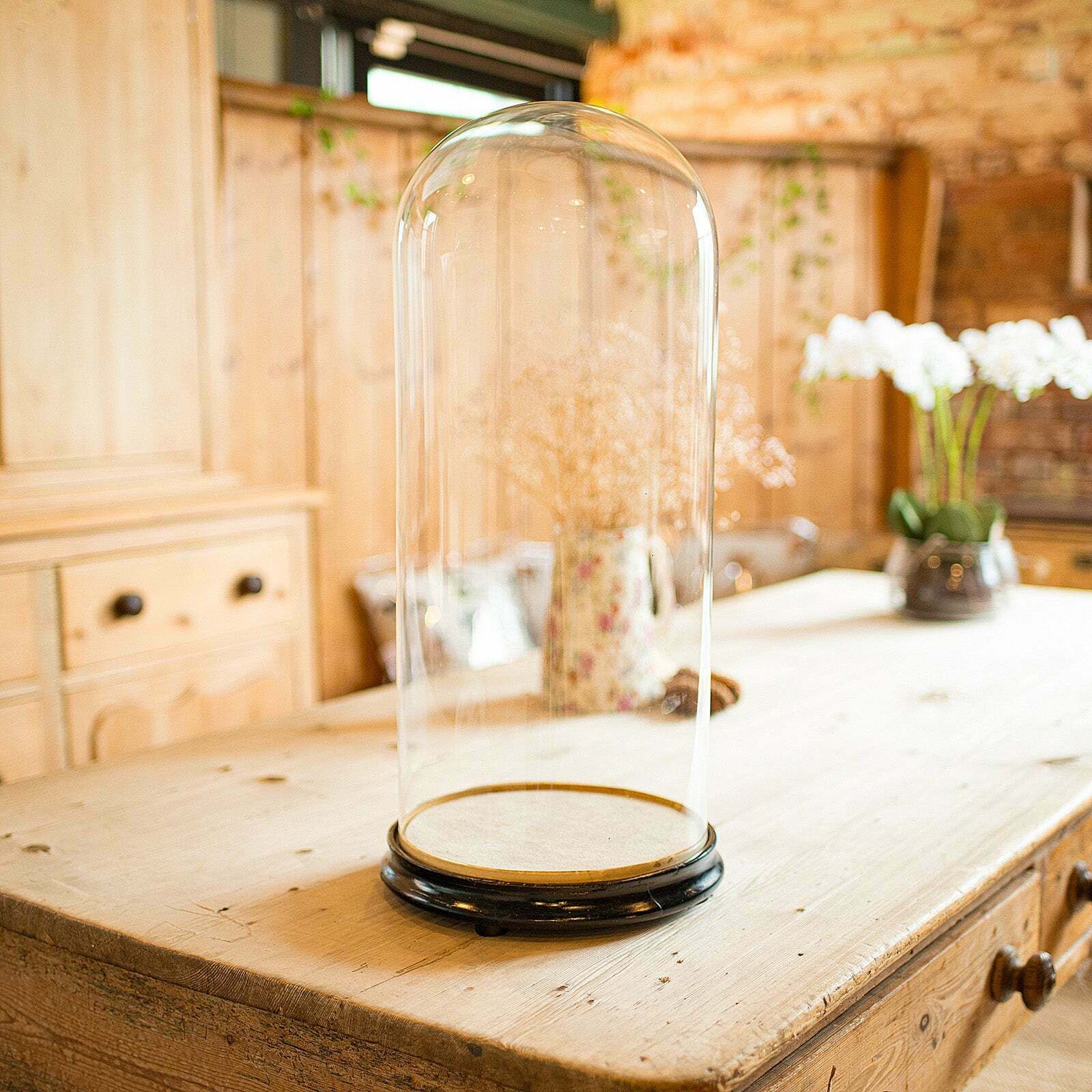 Tall Antique Professor's Specimen Dome, English, Glass, Taxidermy, Victorian photo for sale