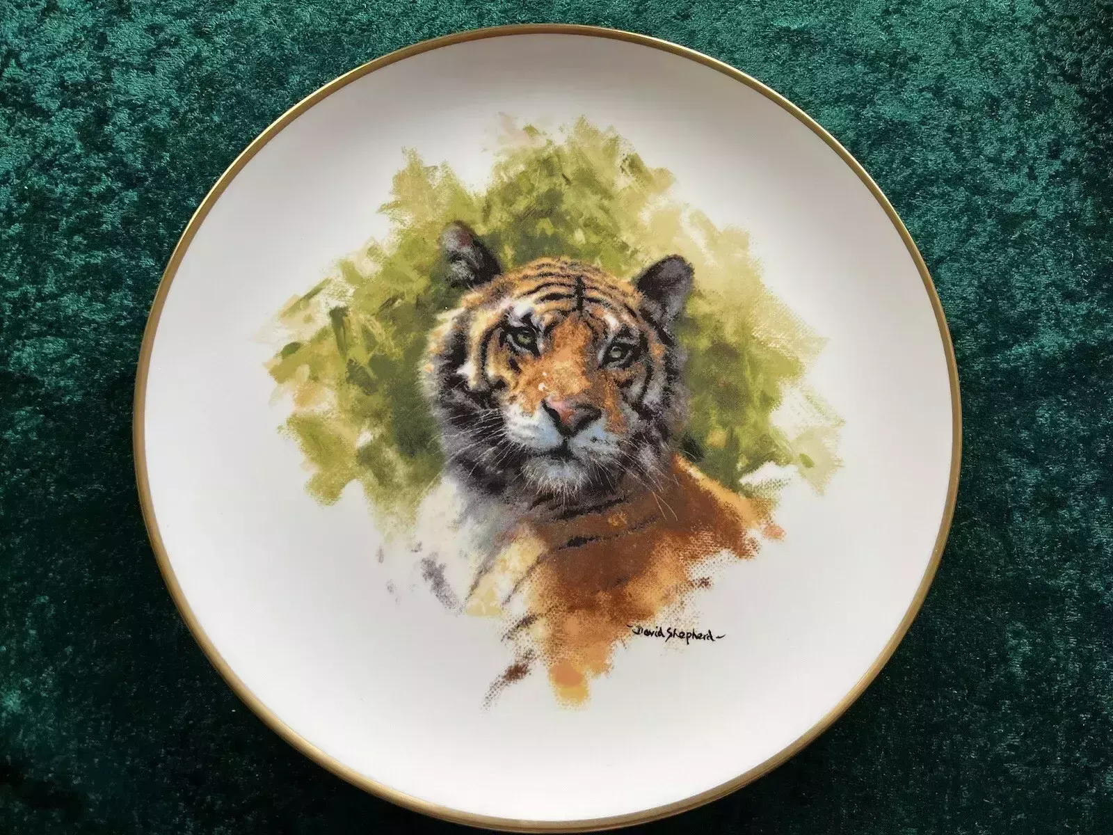 Set Of Four Wedgwood David Shepherd Wildlife Collection Collectors Plate photo vinterior