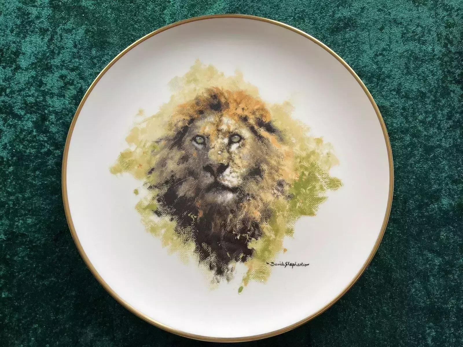 Set Of Four Wedgwood David Shepherd Wildlife Collection Collectors Plate photo vintage