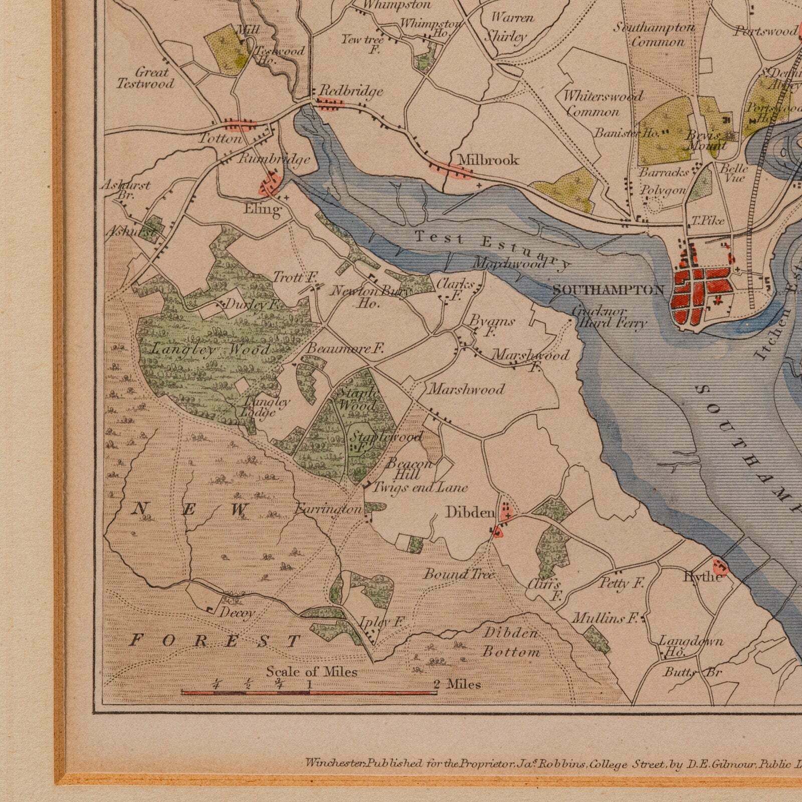 Antique Lithography Map, Environs Of Southampton, English, Framed, Victorian photo vintage