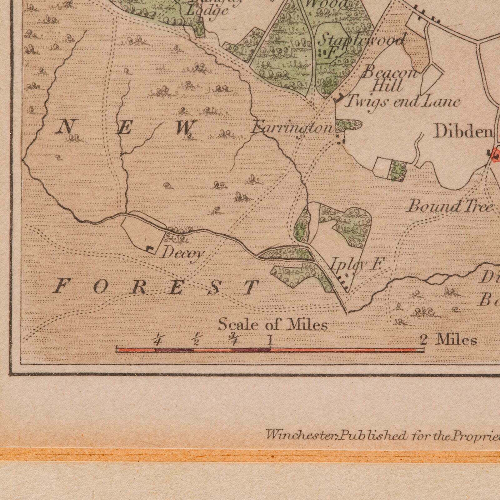 Art Antique Lithography Map, Environs Of Southampton, English, Framed, Victorian photo
