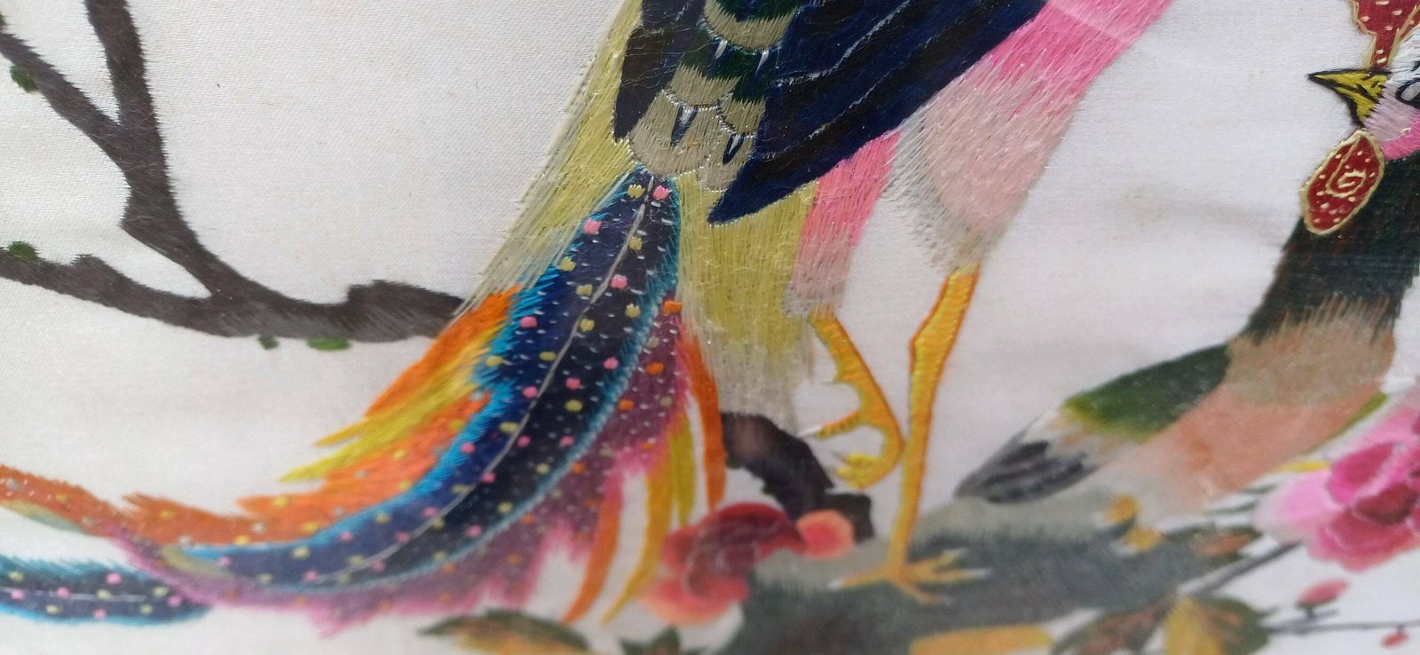 Outstanding Colourful Pair Of Vintage Bird Of Paradise Embroidery Pictures In Ornate Gold Frames. photo buy