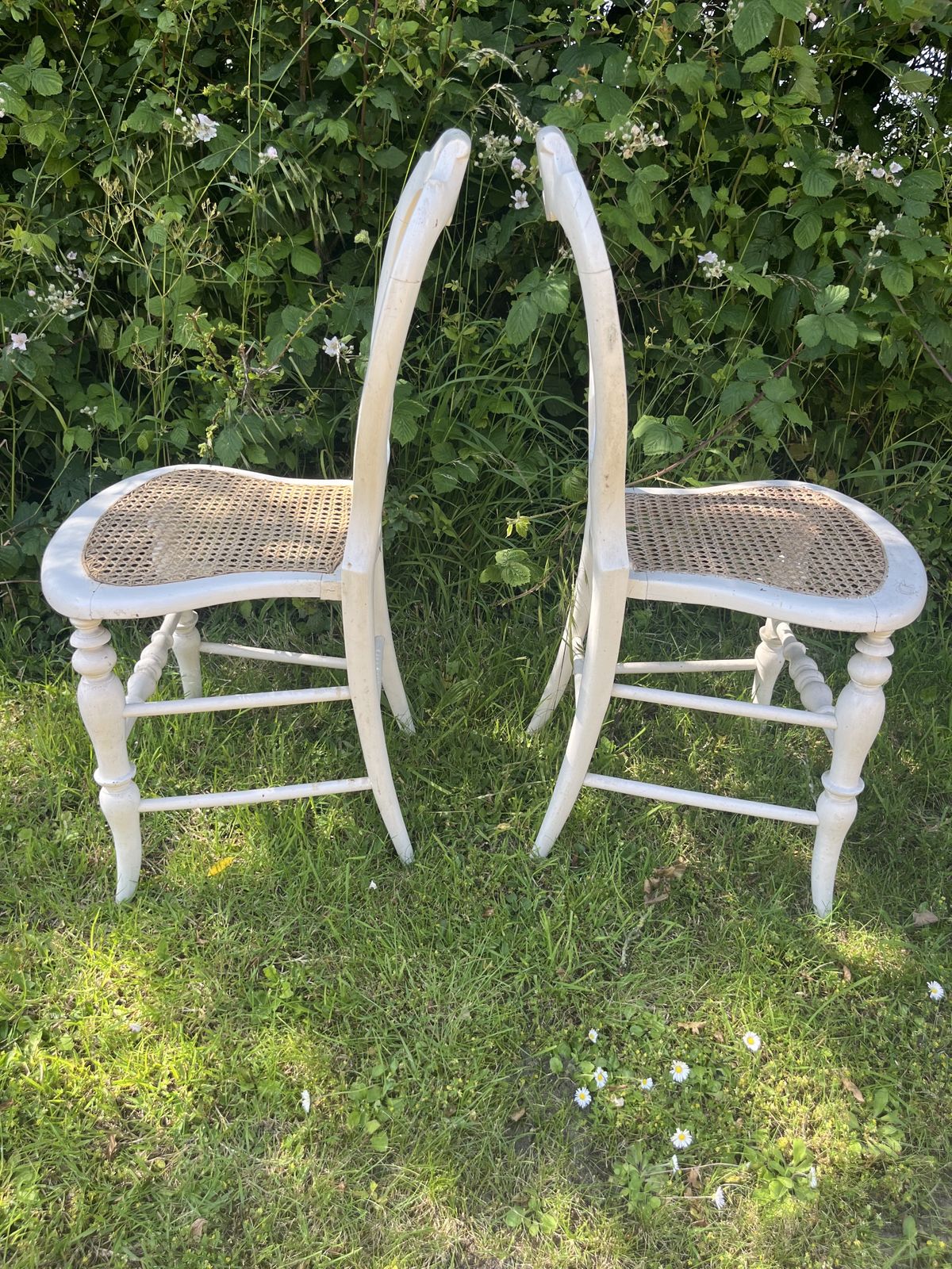 Pair Of Pretty White Painted 19th Century Chairs With Cane  Seats photo furniture
