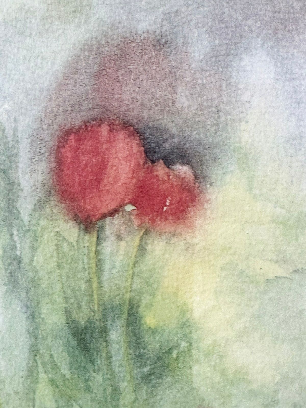 Framed Abstract Floral Print, Gillian Mcdonald Limited Edition Tulips Print photo Art