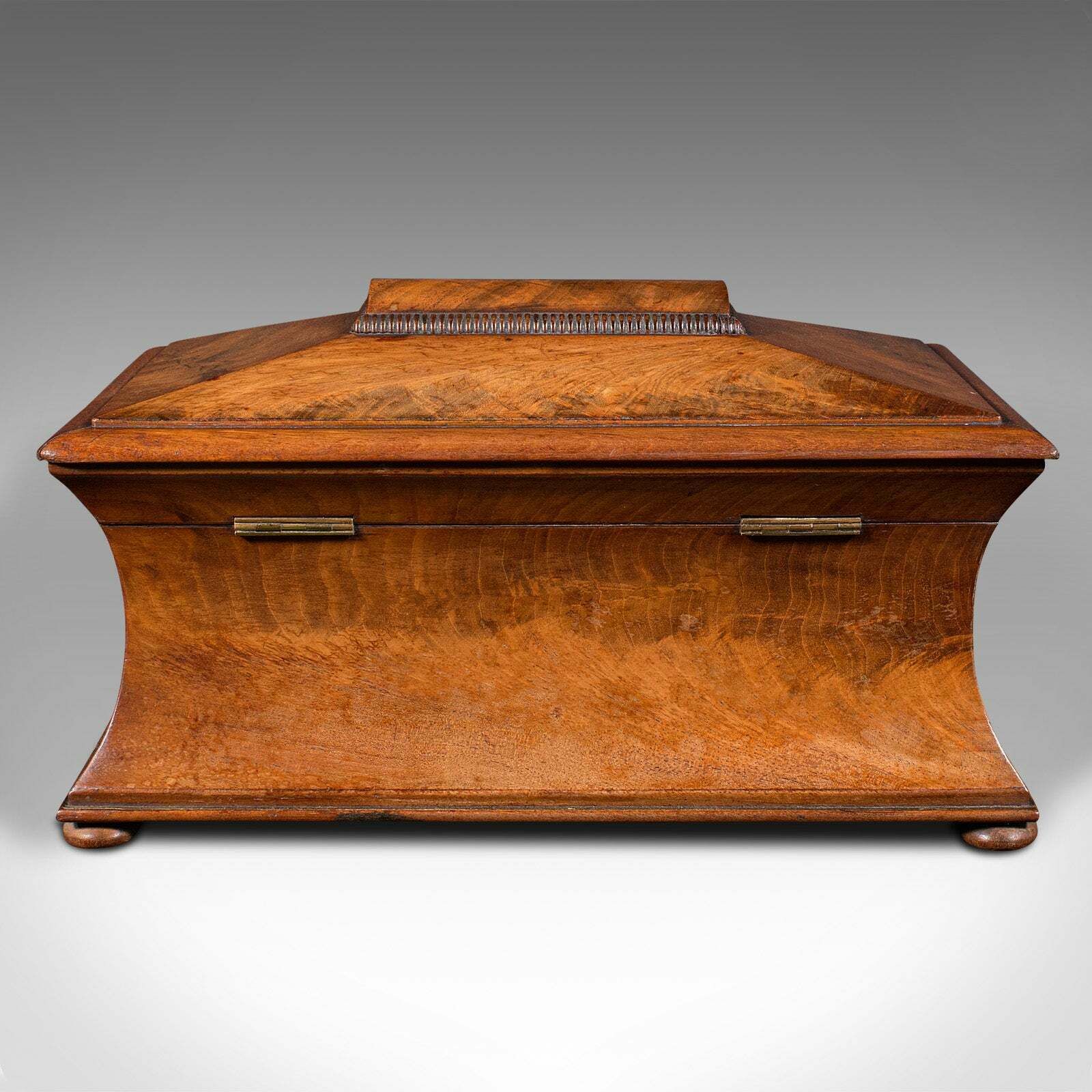 Antique Drawing Room Tea Caddy, English, Flame, Sarcophagus, Regency, Circa 1820 photo Home Decor