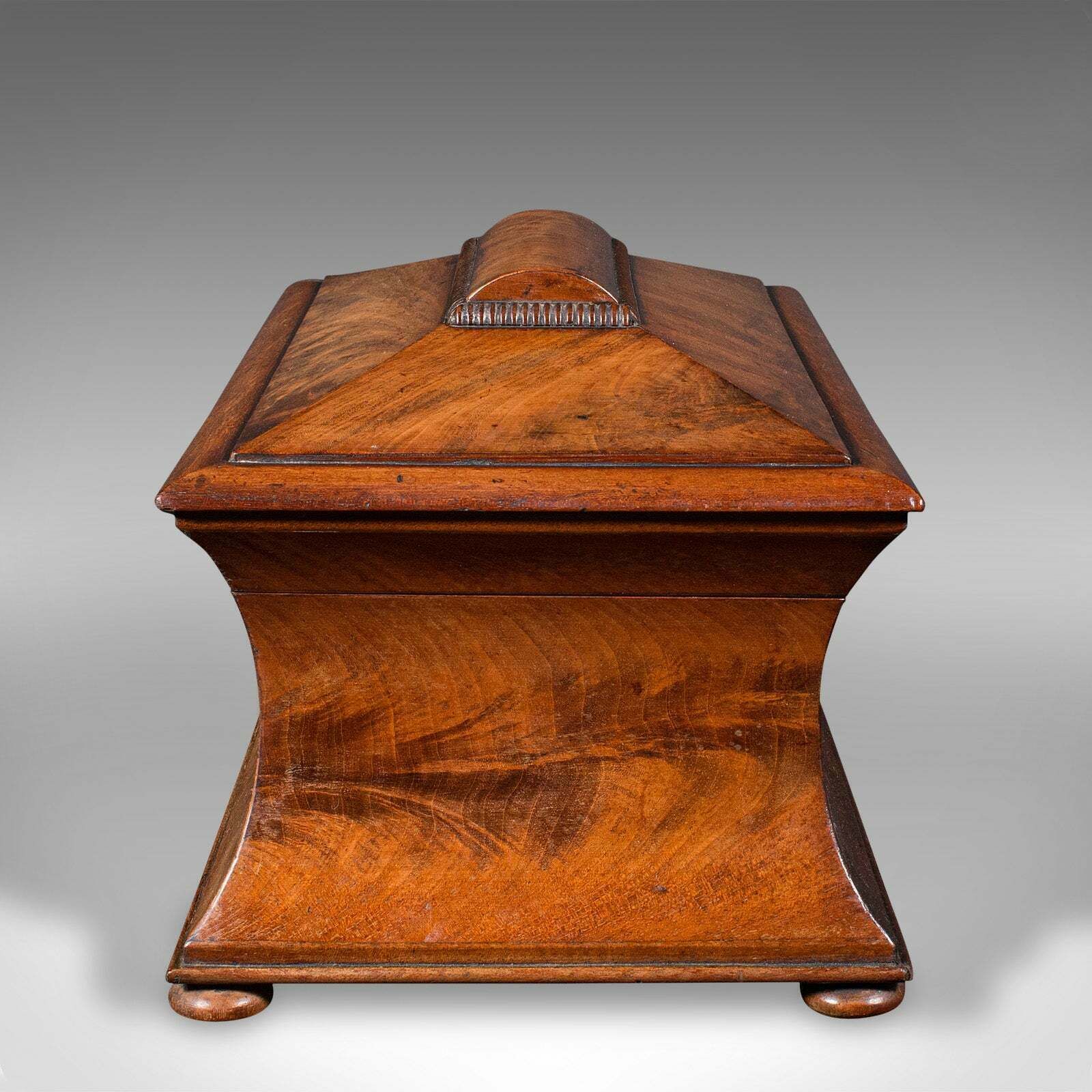 Antique Drawing Room Tea Caddy, English, Flame, Sarcophagus, Regency, Circa 1820 photo 1295.0