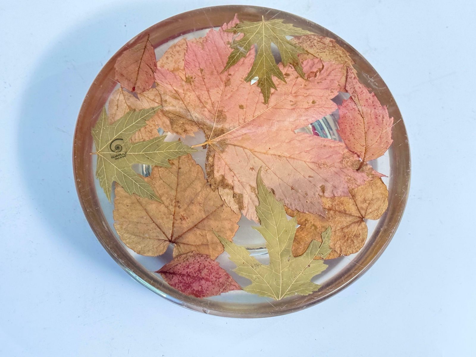 Decorative Plexiglass Vide Poche Or Ashtray With Leafs Inclusions Italy 1970 photo Home Decor