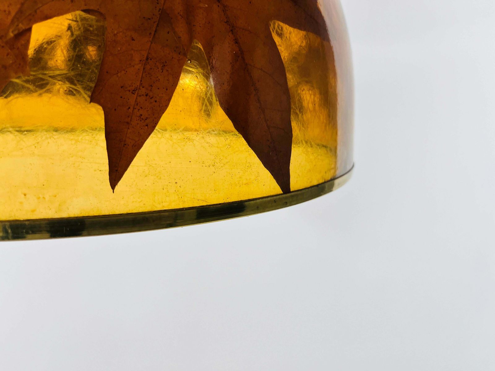 Acrylic Glass Pendant Lamp With Leaves And Brass Base, Germany, 1970s photo vintage