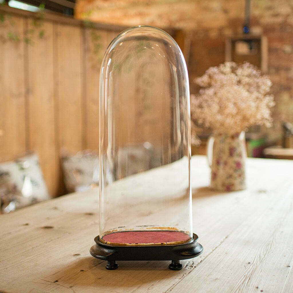 Antique Mantel Clock Dome, English, Glass, Taxidermy Showcase, Late Victorian photo for sale
