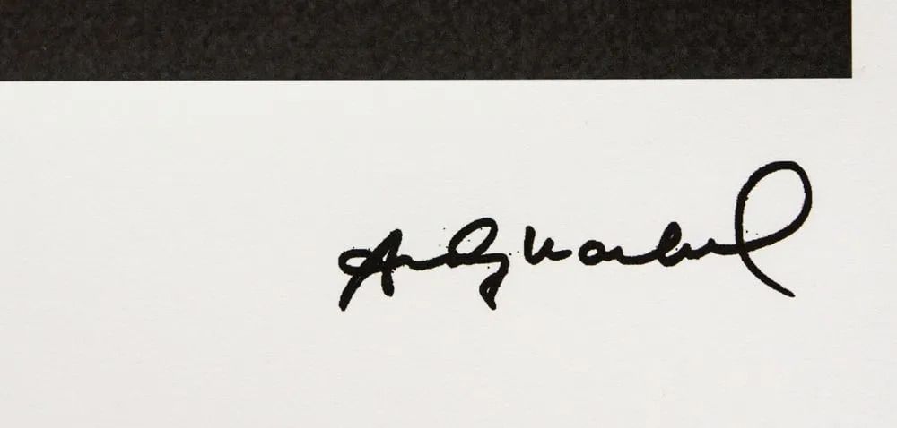 Andy Warhol – Panda Limited Edition Lithograph – Numbered And Authenticated photo for sale