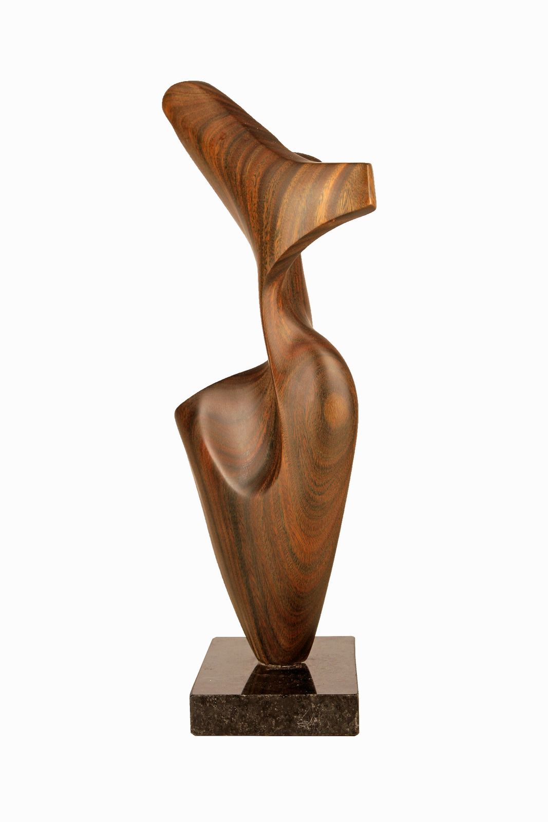 2012 Argentine Biomorphic Wood Abstract Sculpture With Black Marble Base By Artist Fabriciano Gómez photo for sale