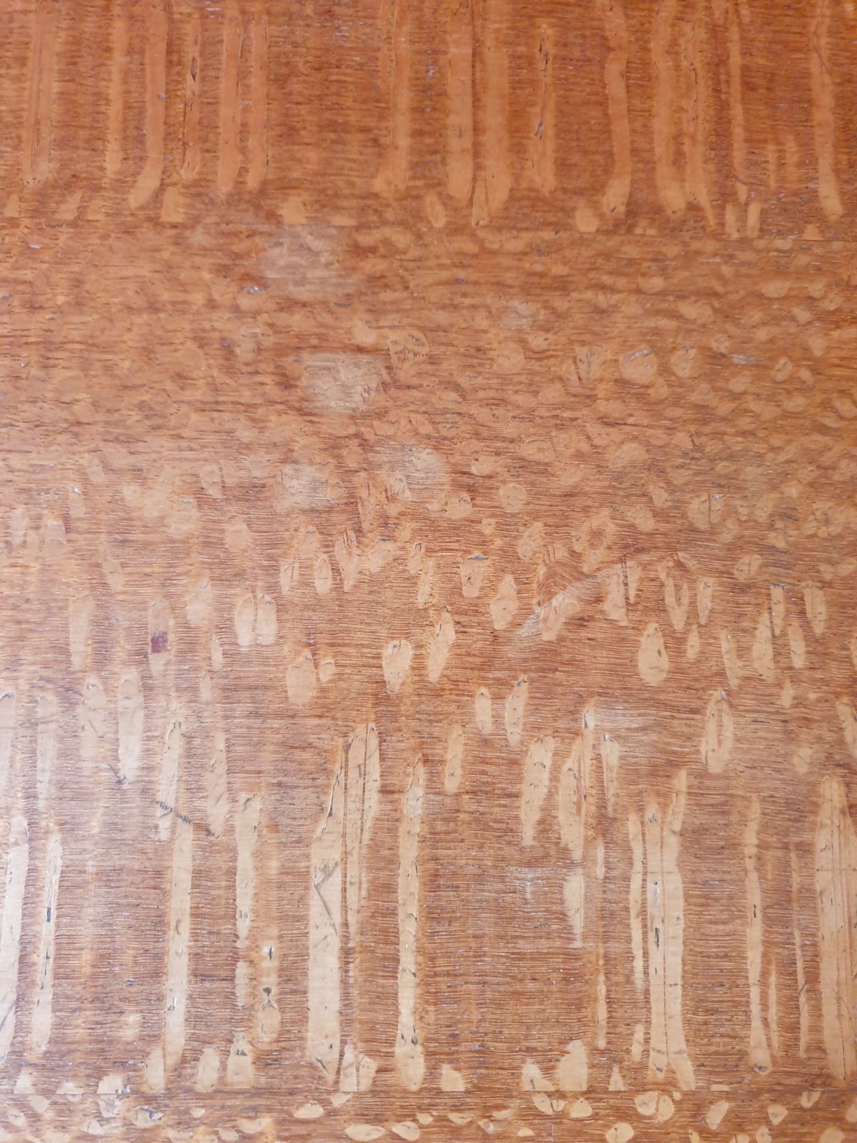 photo vinterior Vesper Lacewood Chest Of Drawers 1950s