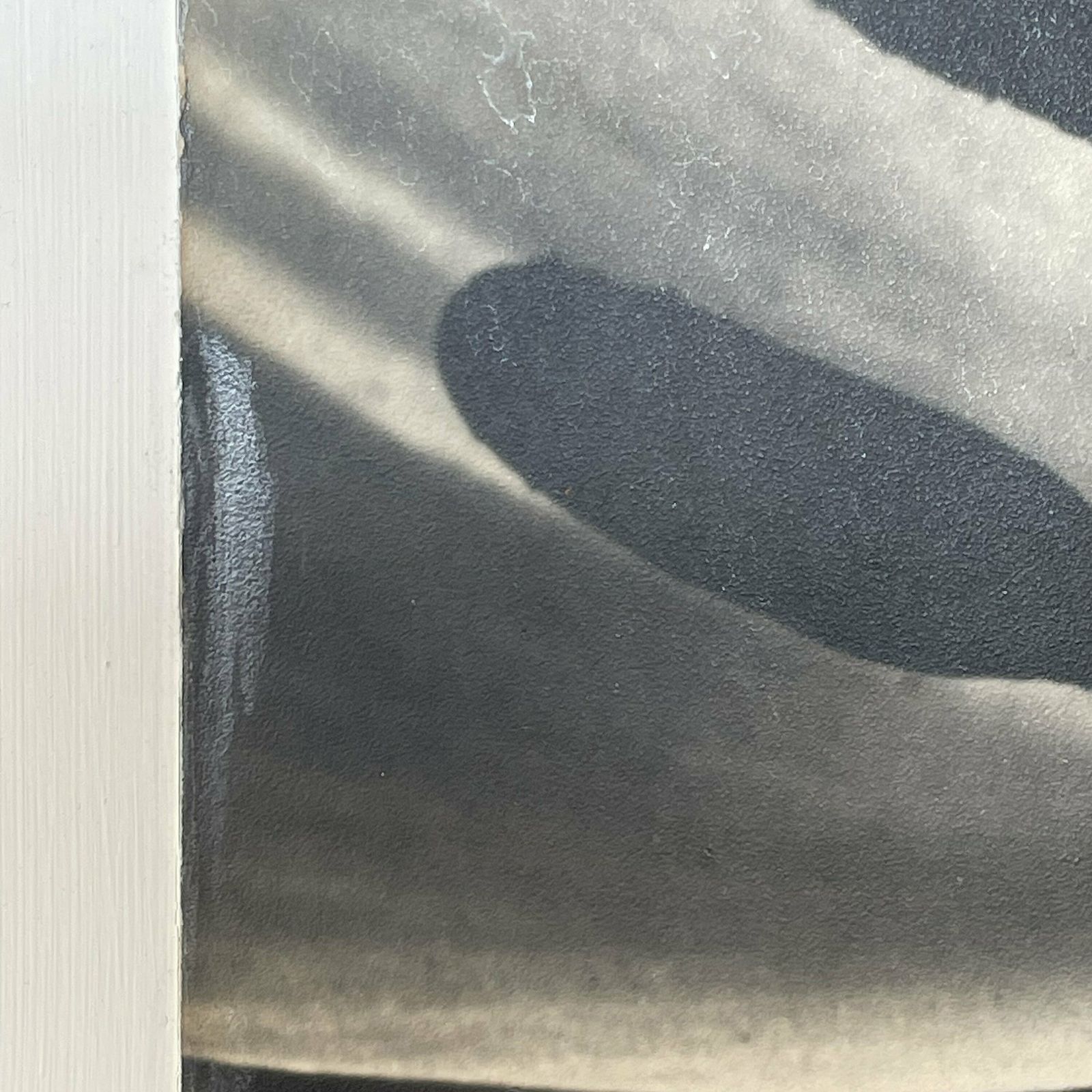 Danish Vintage Mid Century Large Scale Fine Art Photography From The 1940’s By Artist Aage Lillesøe With Motive Of Tulip Flower photo Art