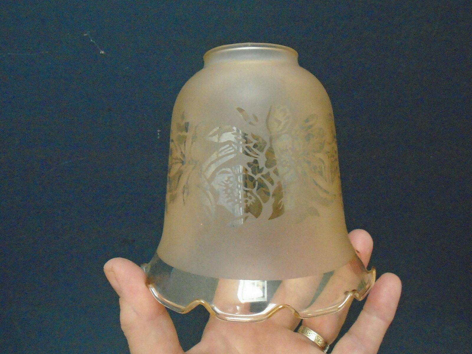 photo furniture 3 Vintage French Soft Peach Frosted Glass Etched Lamp Shades