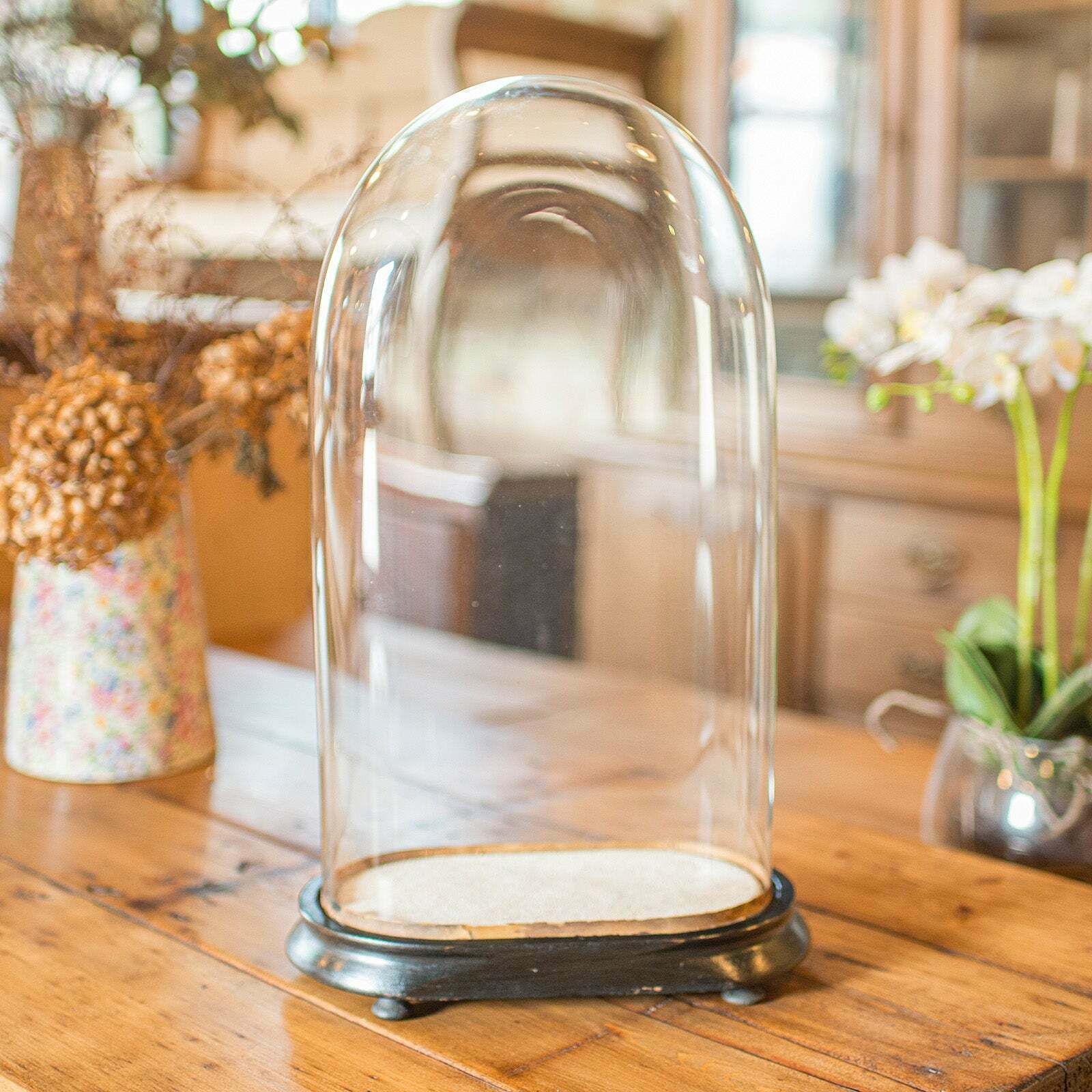 Slimline Antique Display Dome, English, Glass, Ornamental Showcase, Victorian