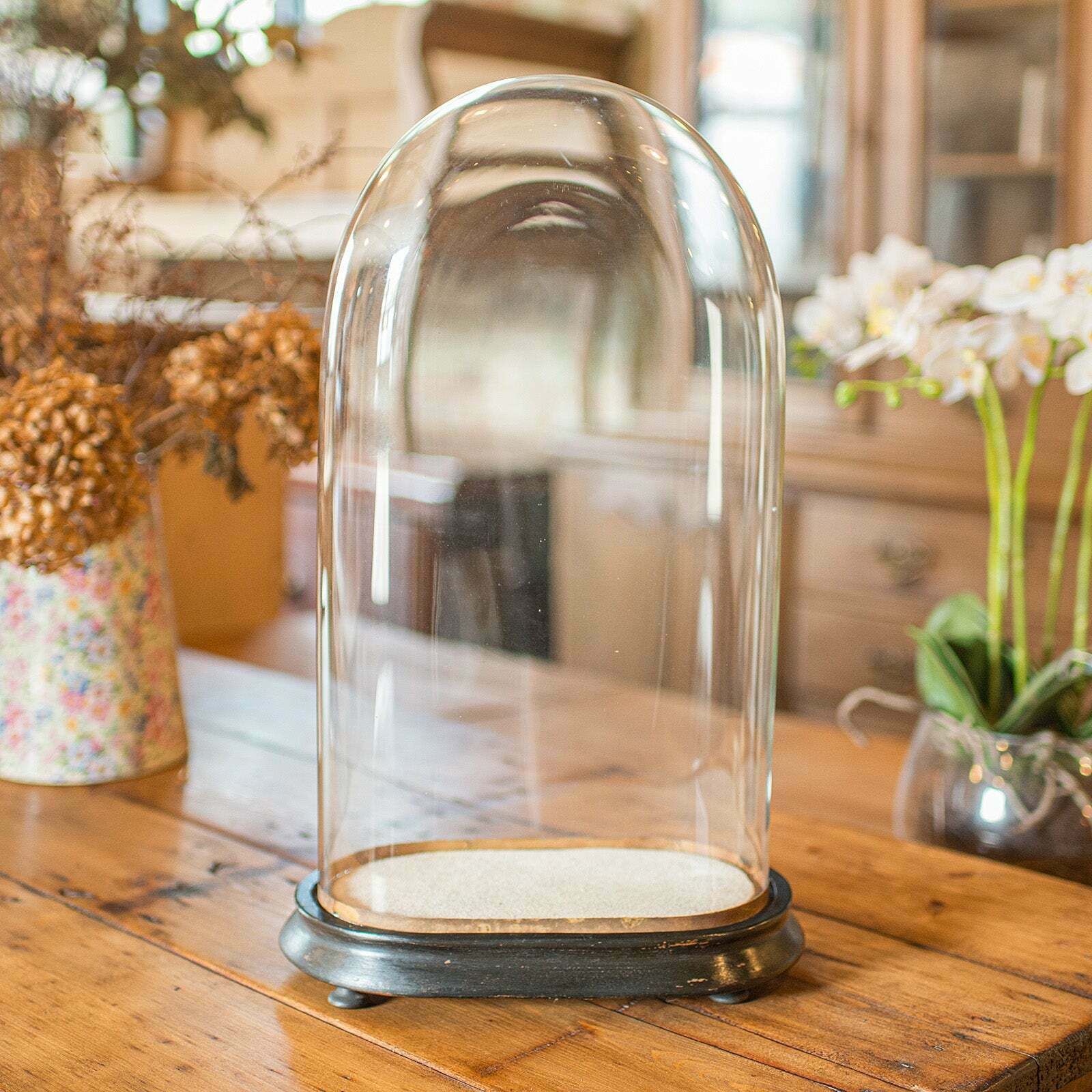 Slimline Antique Display Dome, English, Glass, Ornamental Showcase, Victorian photo for sale