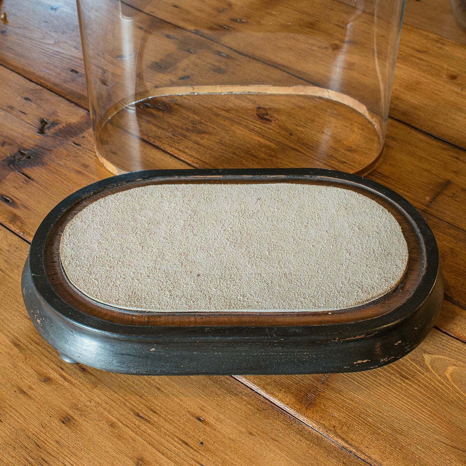 Slimline Antique Display Dome, English, Glass, Ornamental Showcase, Victorian photo vinterior