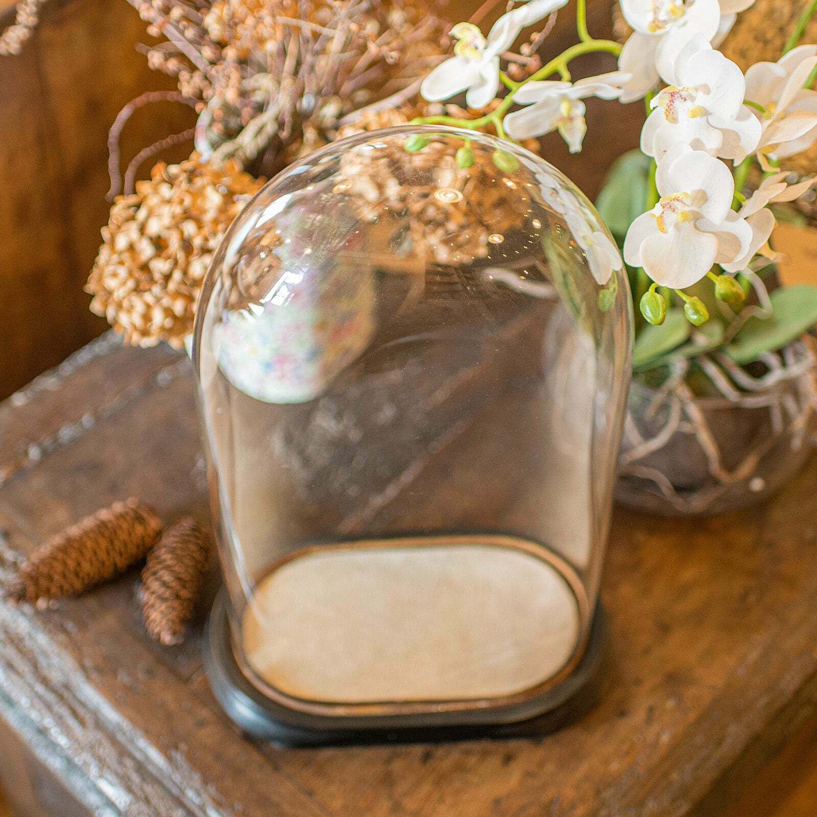 Slimline Antique Display Dome, English, Glass, Ornamental Showcase, Victorian photo vintage