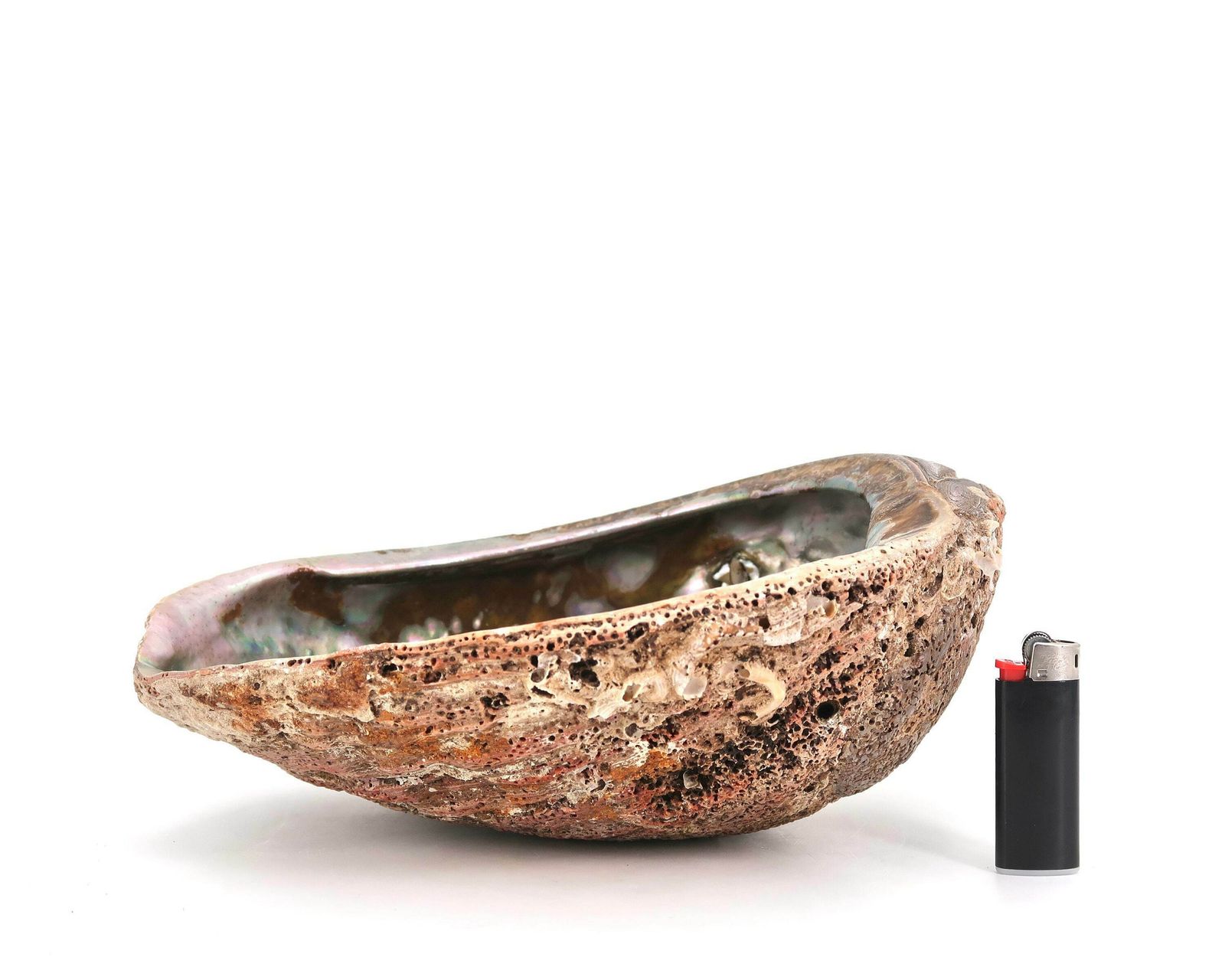 Large Seashell : Large Abalone Mother Of Pearl, 1960s / Ring Dish, Tray, Jewelry Display, Boho Chic, Bohemian, Folk Bathroom photo 101.0