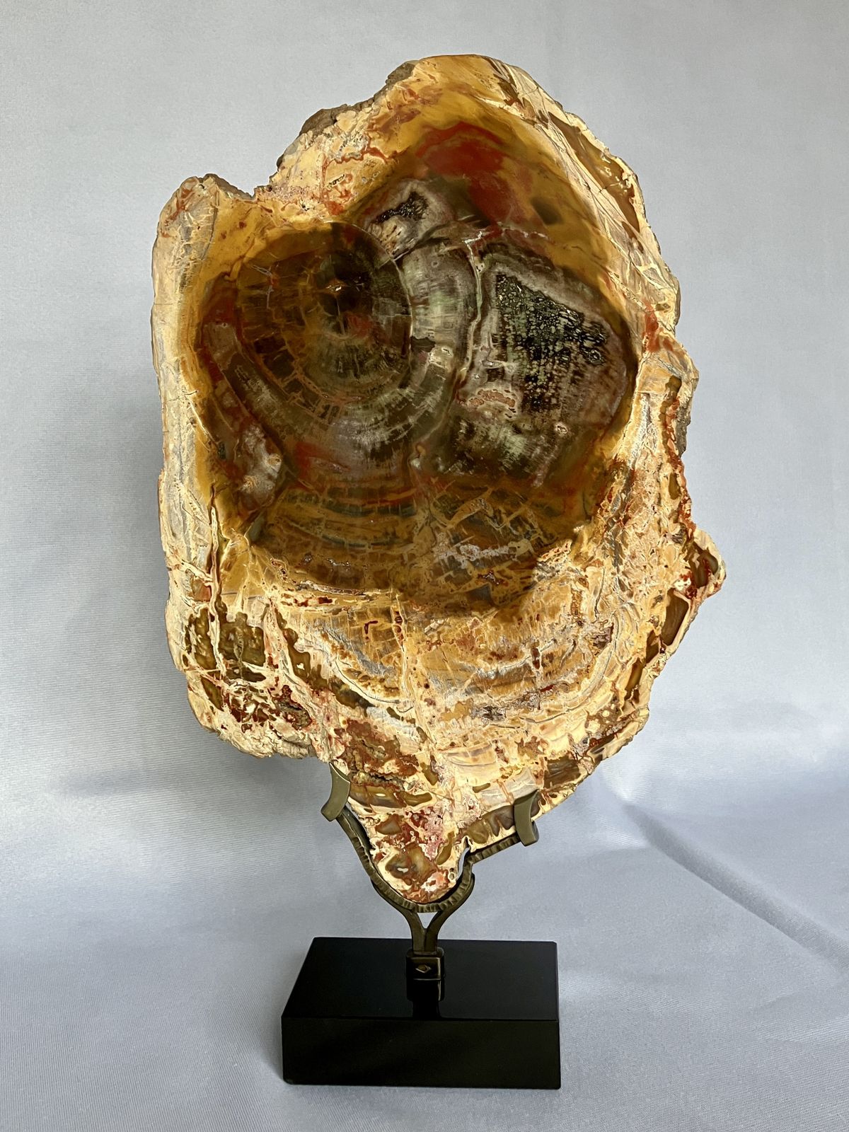 A Large Fossilised Or Petrified Wood Specimen, Polished And Mounted On A Bespoke Stand, Circa 120 To 240 Million Years Old