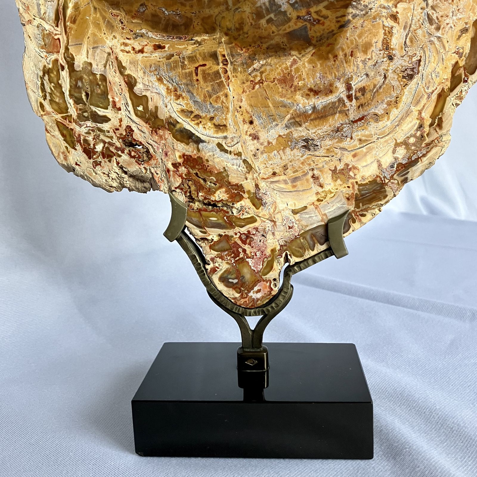 A Large Fossilised Or Petrified Wood Specimen, Polished And Mounted On A Bespoke Stand, Circa 120 To 240 Million Years Old photo Home Decor
