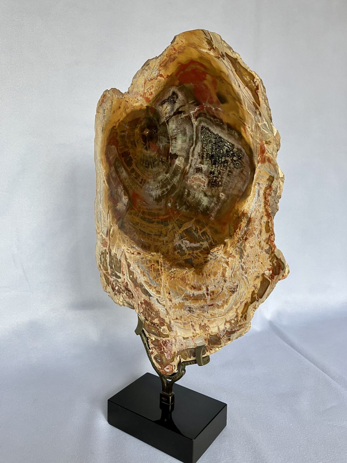 A Large Fossilised Or Petrified Wood Specimen, Polished And Mounted On A Bespoke Stand, Circa 120 To 240 Million Years Old photo 420.0